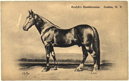 Rysdyk’s Hambletonian postcard, Goshen, N.Y. Circa 1890. chs-004062
